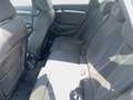 Audi A3 40 TDI quattro Sport Grau - thumbnail 10