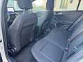 Ford Focus Focus V 1.5 ecoblue ST-Line FULL LED+MATRIX+18" Plateado - thumbnail 9