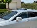 Mercedes-Benz CLS 250 AMG line Shooting Brake CDI 7G-TRONIC Edition 1 - thumbnail 4