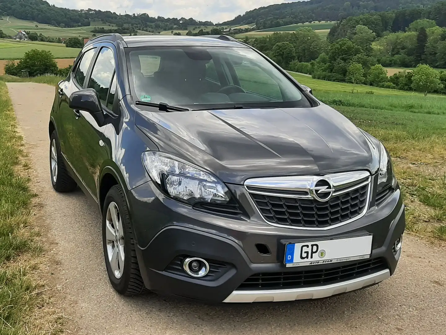Opel Mokka Mokka 1.6 CDTI ecoFLEX Start/Stop 4x4Edition Gris - 1