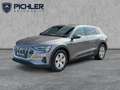 Audi e-tron 50 quattro 230 kW Business Grau - thumbnail 1