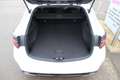 Suzuki Swace Swace 1.8 Hybrid CVT Comfort+ Navi Blanco - thumbnail 10