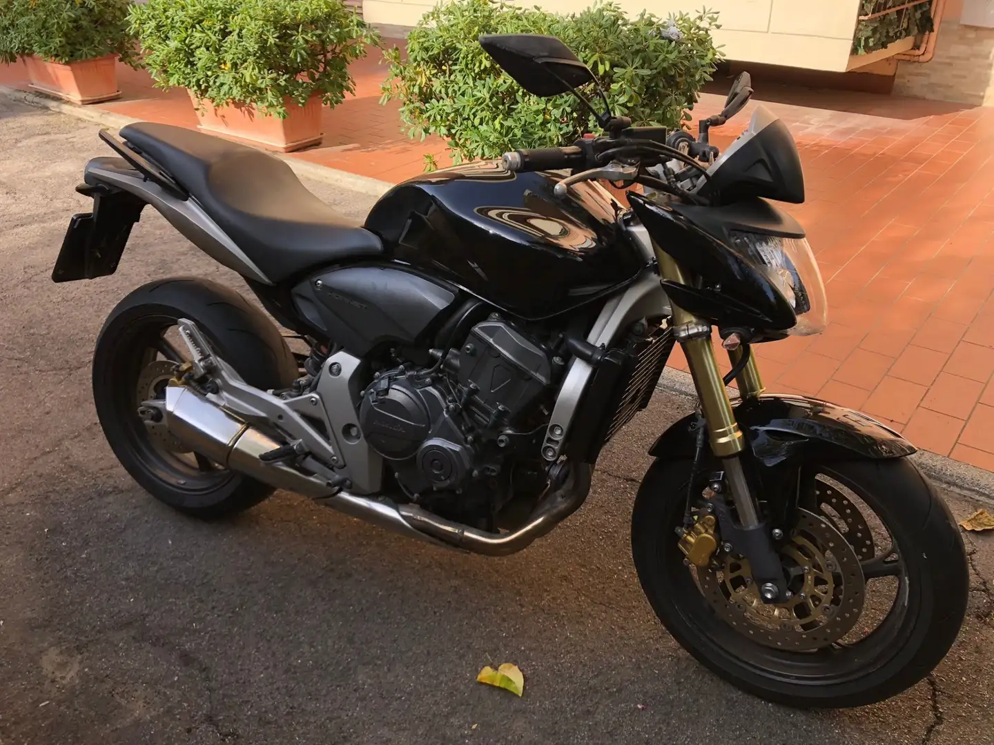 Honda Hornet Noir - 1