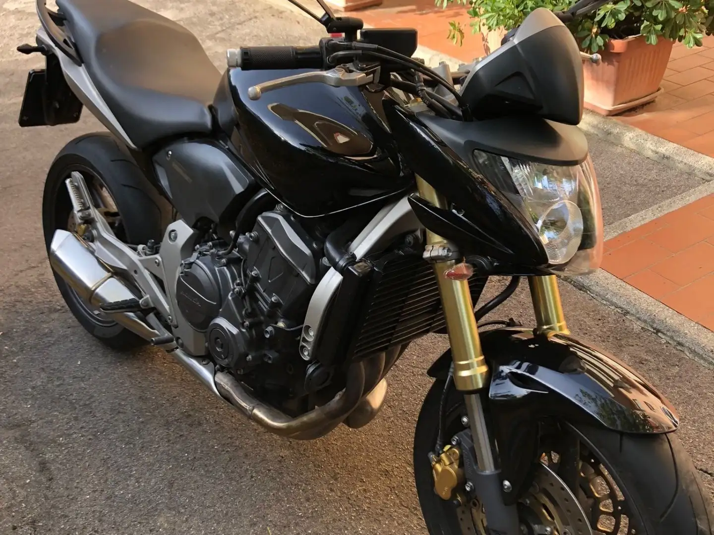 Honda Hornet Noir - 2