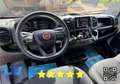 Fiat Ducato BOXATO * FURGONATO * CABINATO * BOX Blanc - thumbnail 8