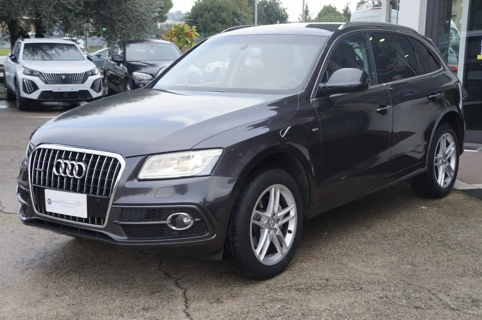 Audi Q5 2.0 TDI 190 CV quattro S tronic Adv Plus S LINE Grigio - 1