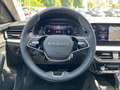 Skoda Kamiq Selection TSI DSG Grau - thumbnail 9