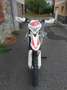 Beta RR 350 Alb - thumbnail 2