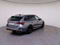 Skoda Octavia 4x4 RS TDI DSG Grau - thumbnail 5
