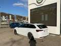 Skoda Octavia Sportline TDI DSG Weiß - thumbnail 4