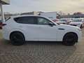 Mazda CX-60 3.3L e-SKYACTIV D 254ps Homura Plus, sofort Weiß - thumbnail 19
