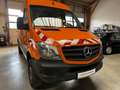 Mercedes-Benz Sprinter 316 CDI 4x4 Allrad L2H2 1. Hand! Orange - thumbnail 3