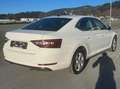 Skoda Superb Ambition 2.0TDI Weiß - thumbnail 5