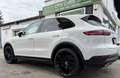 Porsche Cayenne III E-Hybrid PHEV 17,9 kWh Aut. Weiß - thumbnail 2