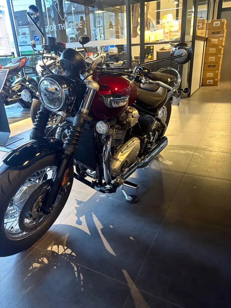 Triumph Speedmaster Rouge - 2