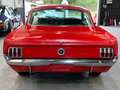 Ford Mustang FASTBACK 1965 / 289CI / BOITE MECA Rouge - thumbnail 15