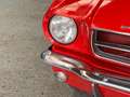 Ford Mustang FASTBACK 1965 / 289CI / BOITE MECA Rouge - thumbnail 14