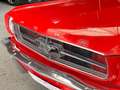 Ford Mustang FASTBACK 1965 / 289CI / BOITE MECA Rouge - thumbnail 22