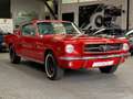Ford Mustang FASTBACK 1965 / 289CI / BOITE MECA Rouge - thumbnail 19