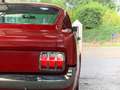 Ford Mustang FASTBACK 1965 / 289CI / BOITE MECA Rouge - thumbnail 33