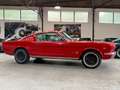 Ford Mustang FASTBACK 1965 / 289CI / BOITE MECA Rouge - thumbnail 17
