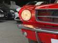 Ford Mustang FASTBACK 1965 / 289CI / BOITE MECA Rouge - thumbnail 31