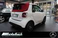 smart forTwo Cabrio EQ LED Prime Exklusive Blanc - thumbnail 4