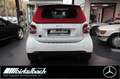 smart forTwo Cabrio EQ LED Prime Exklusive Blanc - thumbnail 18