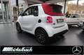 smart forTwo Cabrio EQ LED Prime Exklusive Blanc - thumbnail 2