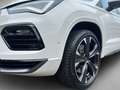 CUPRA Ateca 2.0 TSI 4Drive DSG *ACC* Weiß - thumbnail 4