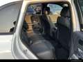 Mercedes-Benz B 180 B 180 Progressive/AHK/EasyP/Kamera/LED/Distronic Weiß - thumbnail 11