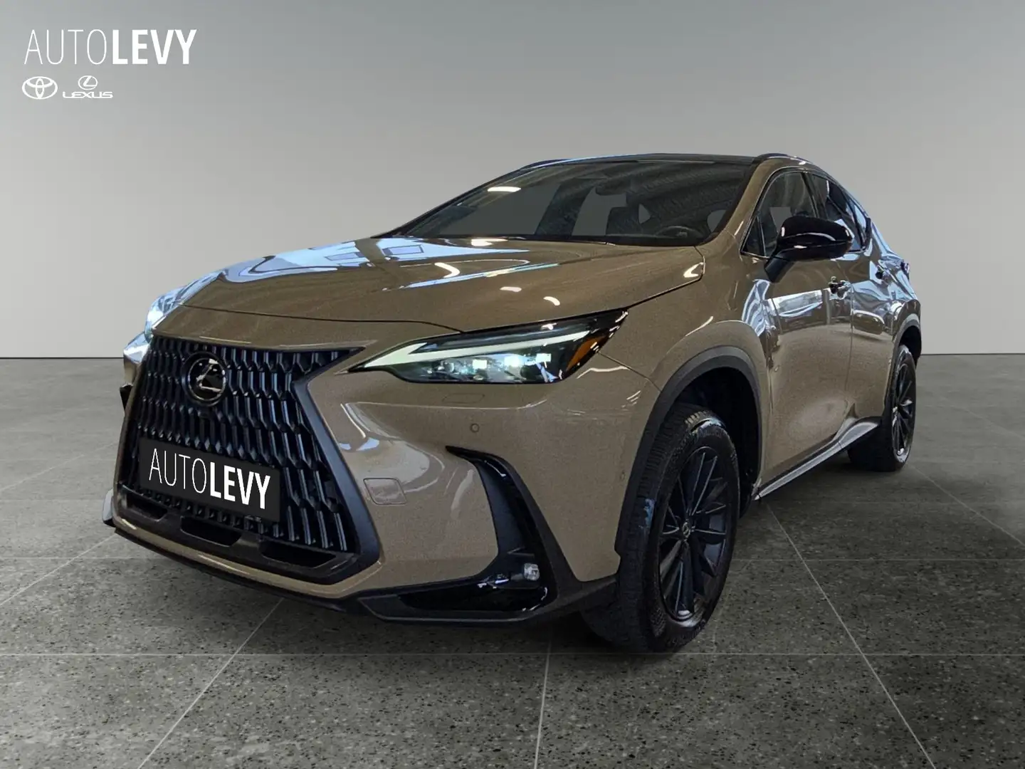 Lexus NX 350h Overtrail 4x4 +Pano+Memory+MarkLewinson+ Beige - 2