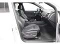Audi Q5 40 Sportback 2.0 TDI quattro S line Panorama Weiß - thumbnail 19