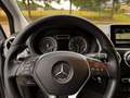 Mercedes-Benz B 200 Ambition | Cruise | Stoelverw | Trkhaak | Erg netj Grau - thumbnail 19