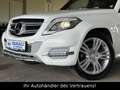 Mercedes-Benz GLK 250 CDI BlueTec 4Matic SportPaket!1.Hand*AHK Alb - thumbnail 4