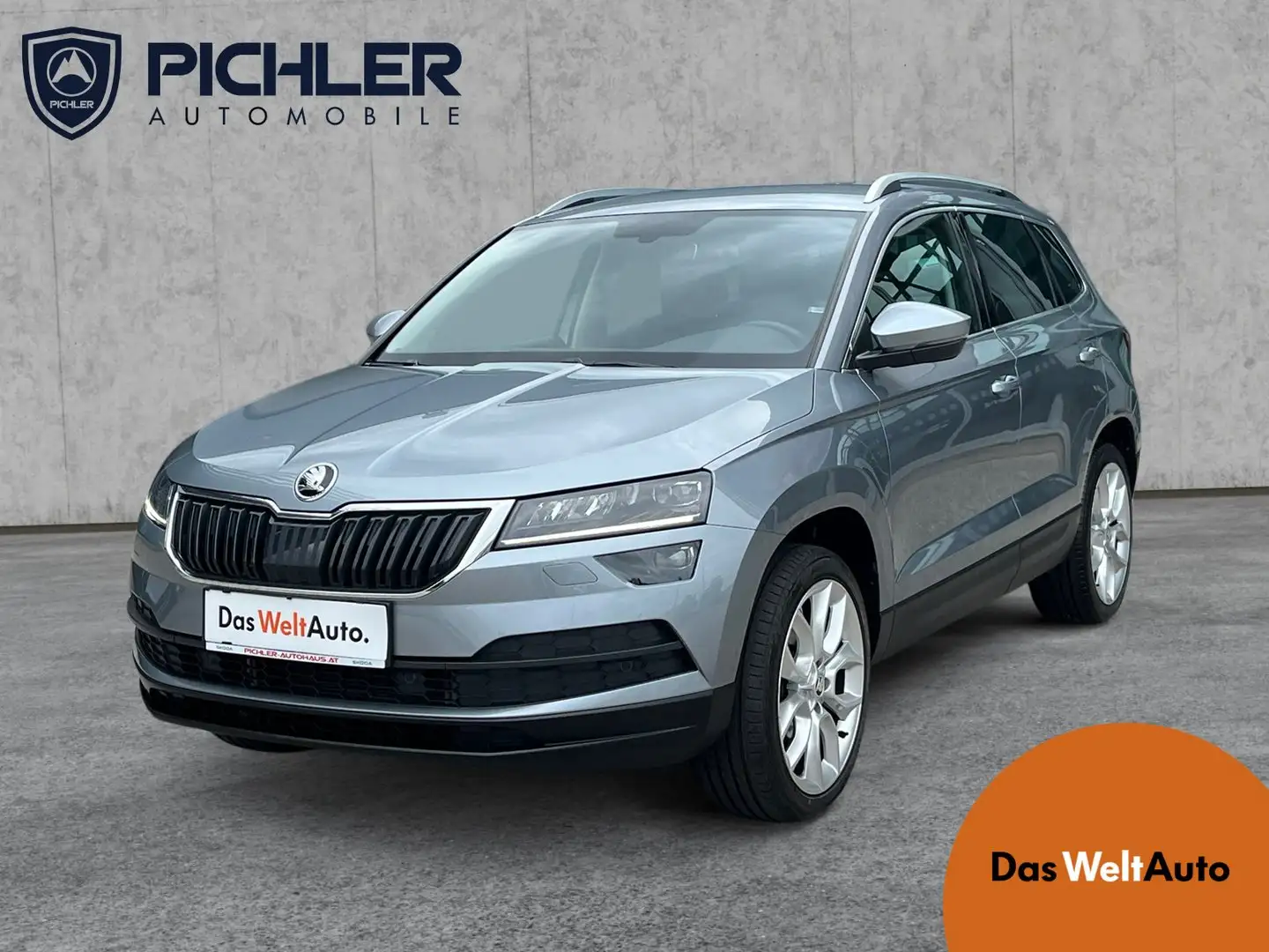 Skoda Karoq 4x4 Style TDI DSG Grau - 1