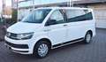 Volkswagen T6 Multivan /Star Edition/7 Sitze/ Nur Handel Blanc - thumbnail 4