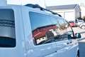 Volkswagen T6 Multivan /Star Edition/7 Sitze/ Nur Handel Blanc - thumbnail 13
