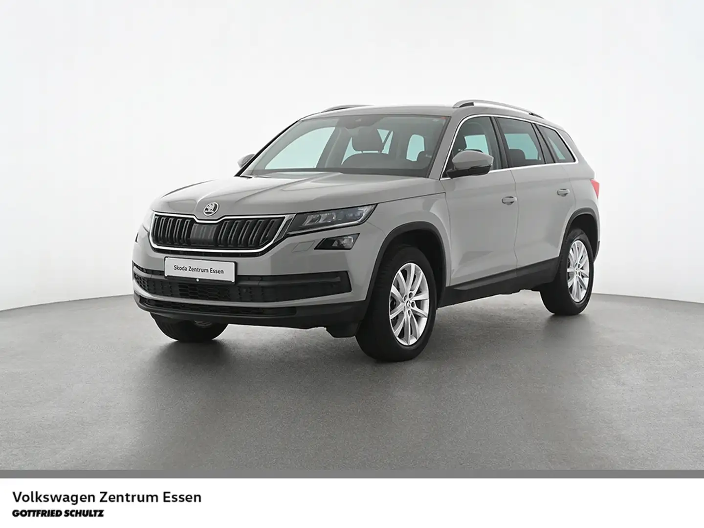 Skoda Kodiaq Style TDI DSG LED AHK Navi R-Kamera Gris - 1