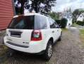 Land Rover Freelander TD4 SE 4x4 - thumbnail 5