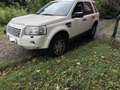 Land Rover Freelander TD4 SE 4x4 - thumbnail 3