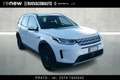 Land Rover Discovery Sport 2.0d i4 mhev S awd 150cv auto Bianco - thumbnail 2