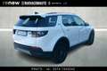 Land Rover Discovery Sport 2.0d i4 mhev S awd 150cv auto Bianco - thumbnail 4