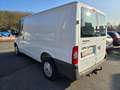Ford Transit 2.2D Kasten FT 260 K City Light AHK Blanc - thumbnail 7