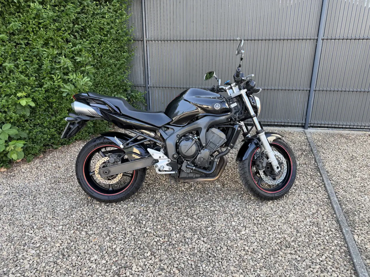 Yamaha FZ 6