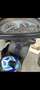 Gilera Typhoon Nero - thumbnail 5