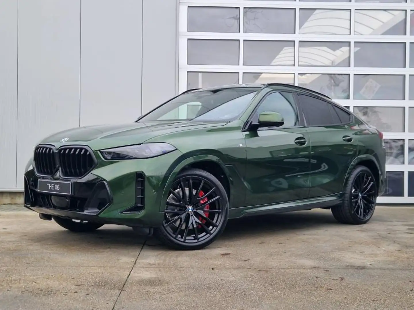 BMW X6 xD 30d Verde - 1