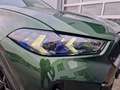 BMW X6 xD 30d Verde - thumbnail 11