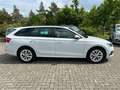 Skoda Octavia Combi 2.0 TDI DSG LED DAB Winterpaket Weiß - thumbnail 4