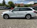 Skoda Octavia Combi 2.0 TDI DSG LED DAB Winterpaket Weiß - thumbnail 8